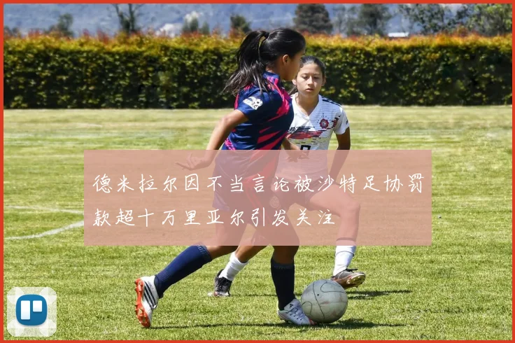 德米拉尔因不当言论被沙特足协罚款超十万里亚尔引发关注